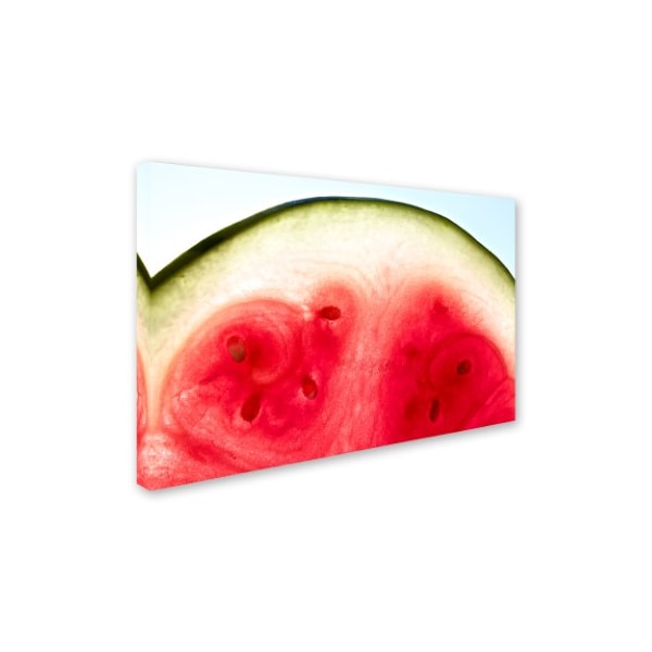 Sarah Saratonina 'Watermelon Pathways' Canvas Art,30x47